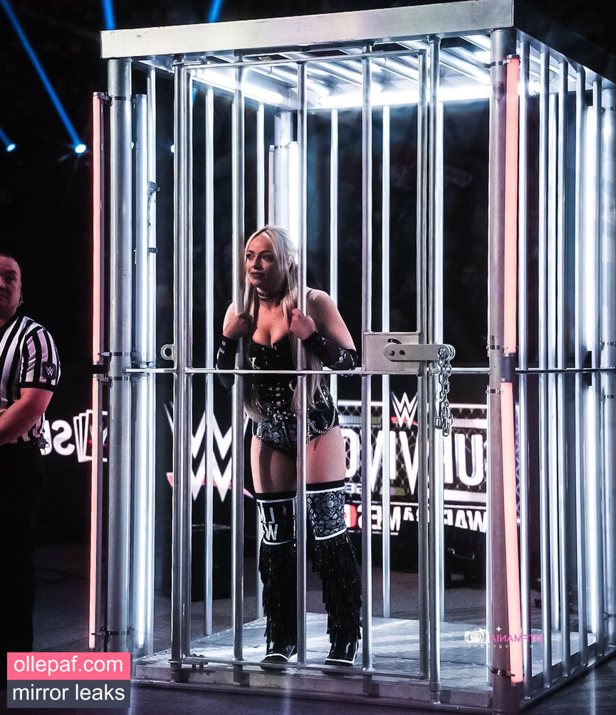 Latest Leaks Liv Morgan Nude #64 - Fapello