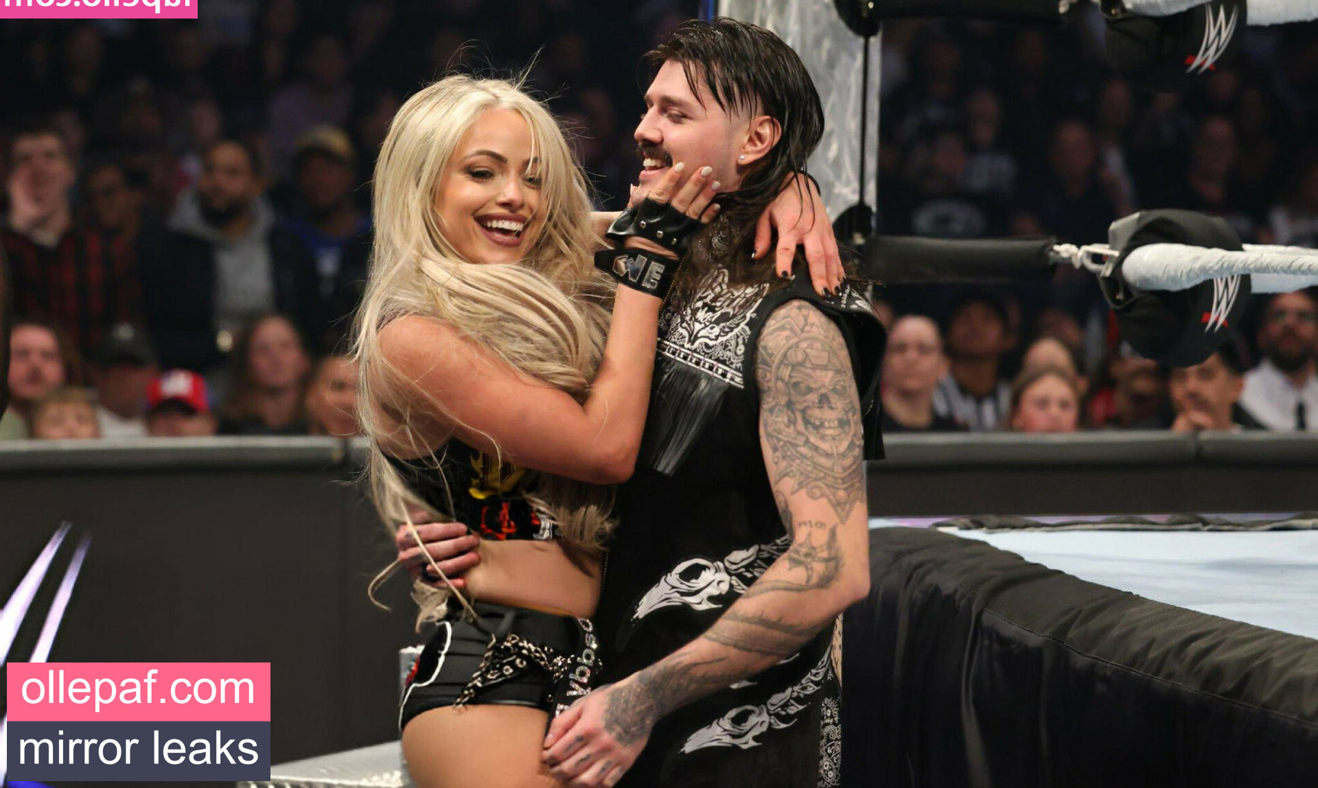 Latest Leaks Liv Morgan Nude #99 - Fapello
