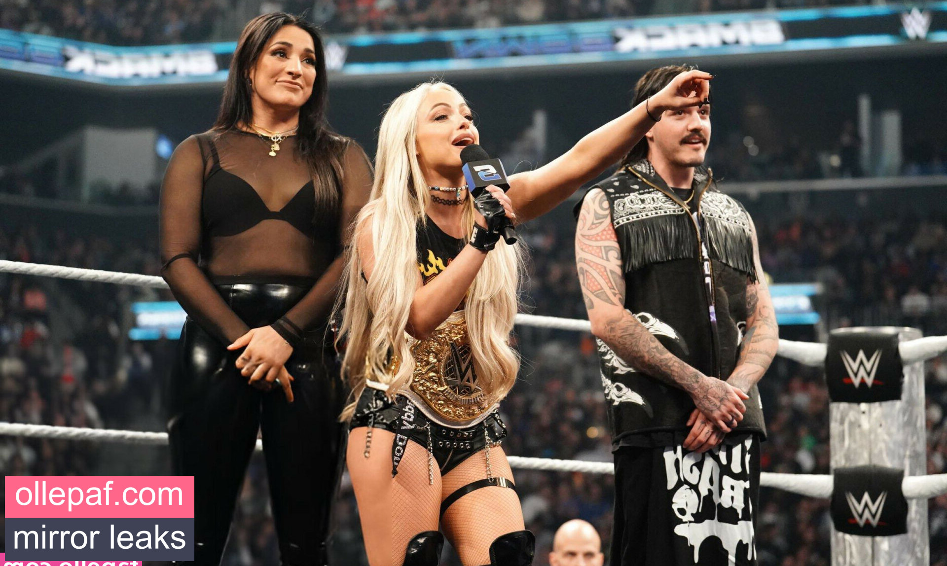 Latest Leaks Liv Morgan Nude #100 - Fapello