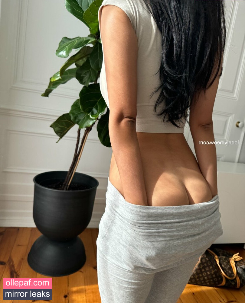 Latest Leaks LonelyMeow Nude #51 - Fapello