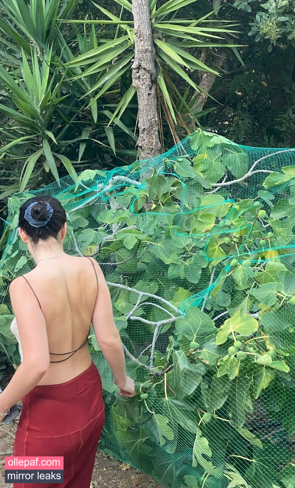 Latest Leaks Lorde Nude #30 - Fapello