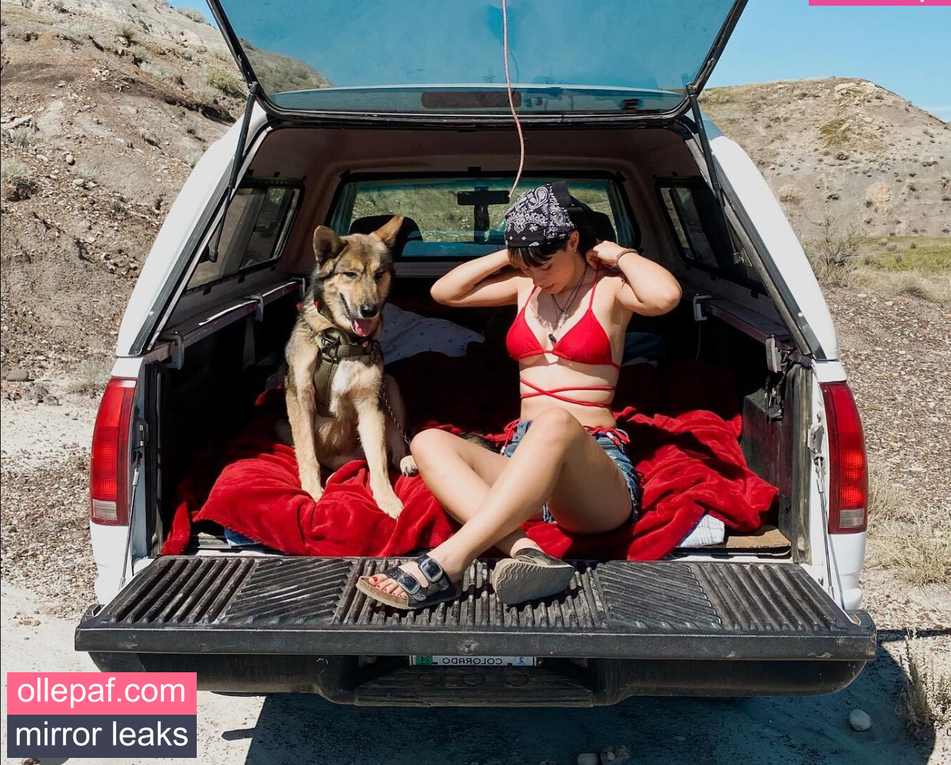 Latest Leaks ltl_dog Nude #23 - Fapello