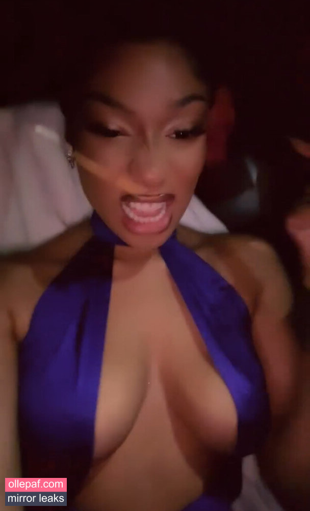 Megan Thee Stallion Nude Leaks OnlyFans #192 - Fapello