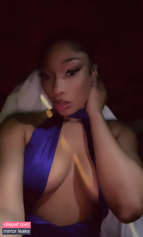 Megan Thee Stallion Nude Leaks OnlyFans #196 - Fapello