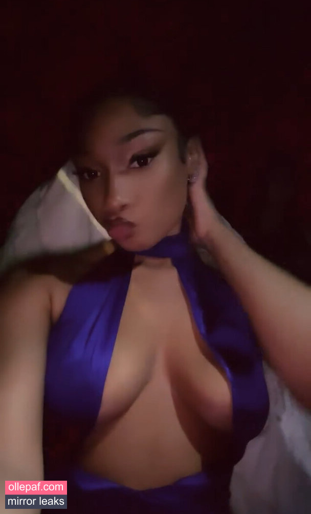 Megan Thee Stallion Nude Leaks OnlyFans #197 - Fapello