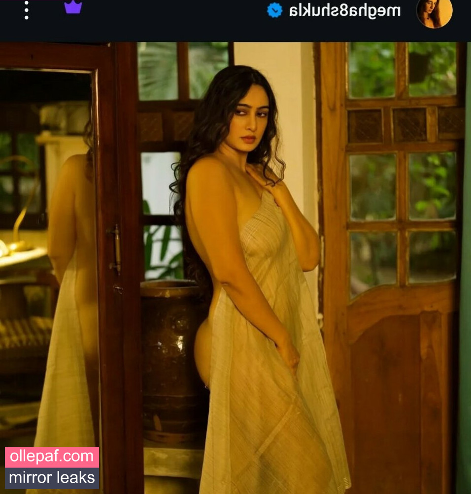 Latest Leaks Megha Shukla Nude #28 - Fapello