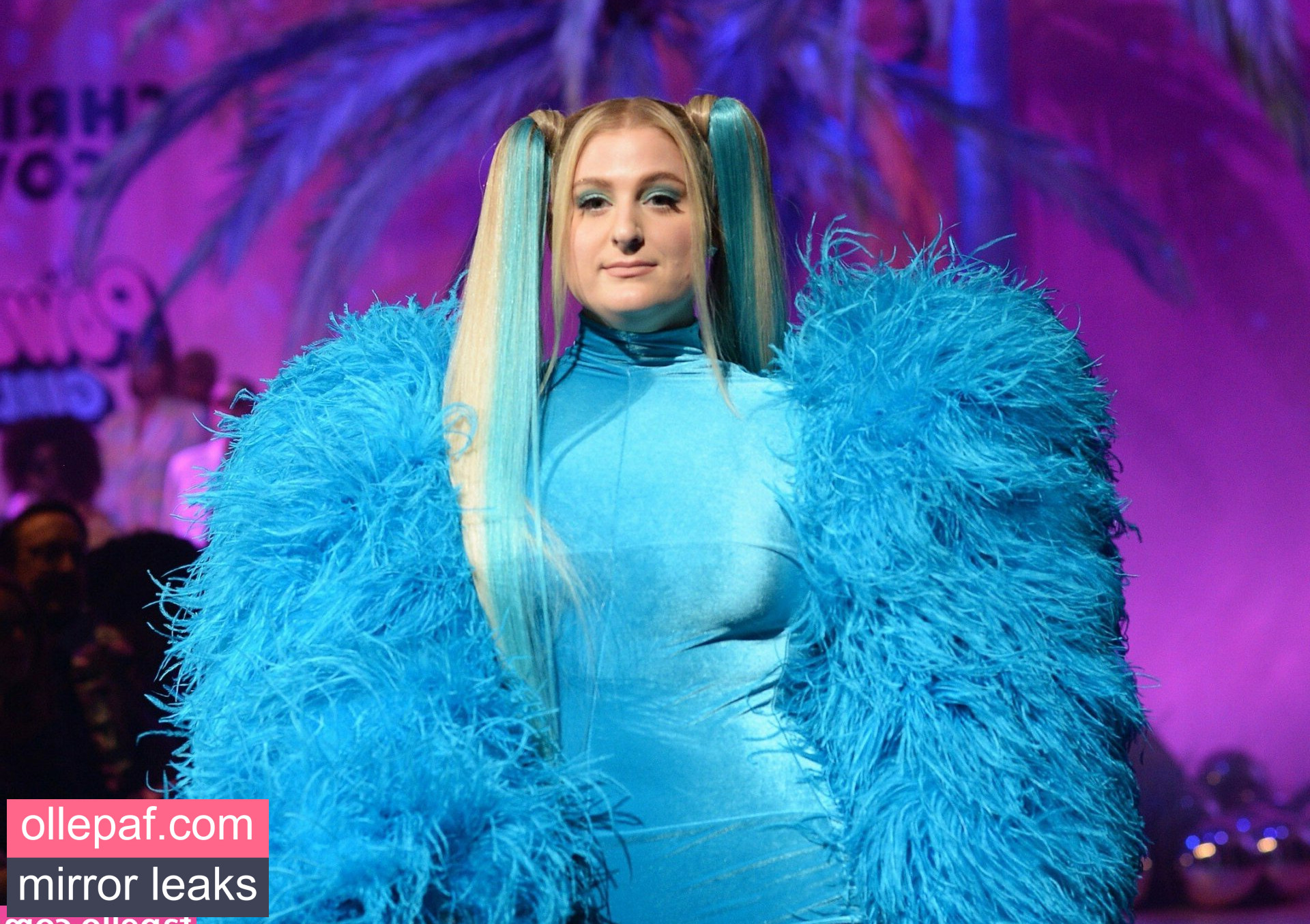 Latest Leaks Meghan Trainor Nude #231 - Fapello