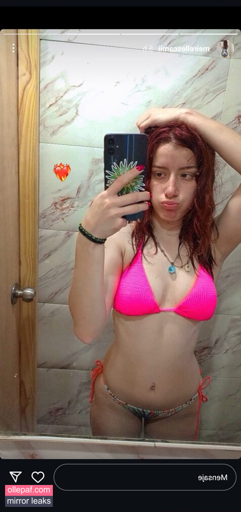 Latest Leaks meirellescamii Nude #3 - Fapello