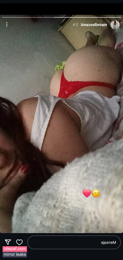 Latest Leaks meirellescamii Nude #4 - Fapello