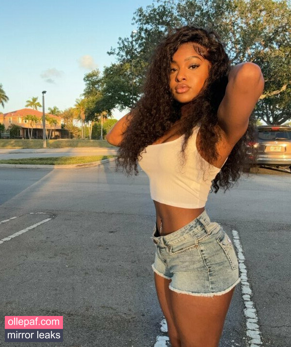 Latest Leaks melanincakes Nude #3 - Fapello