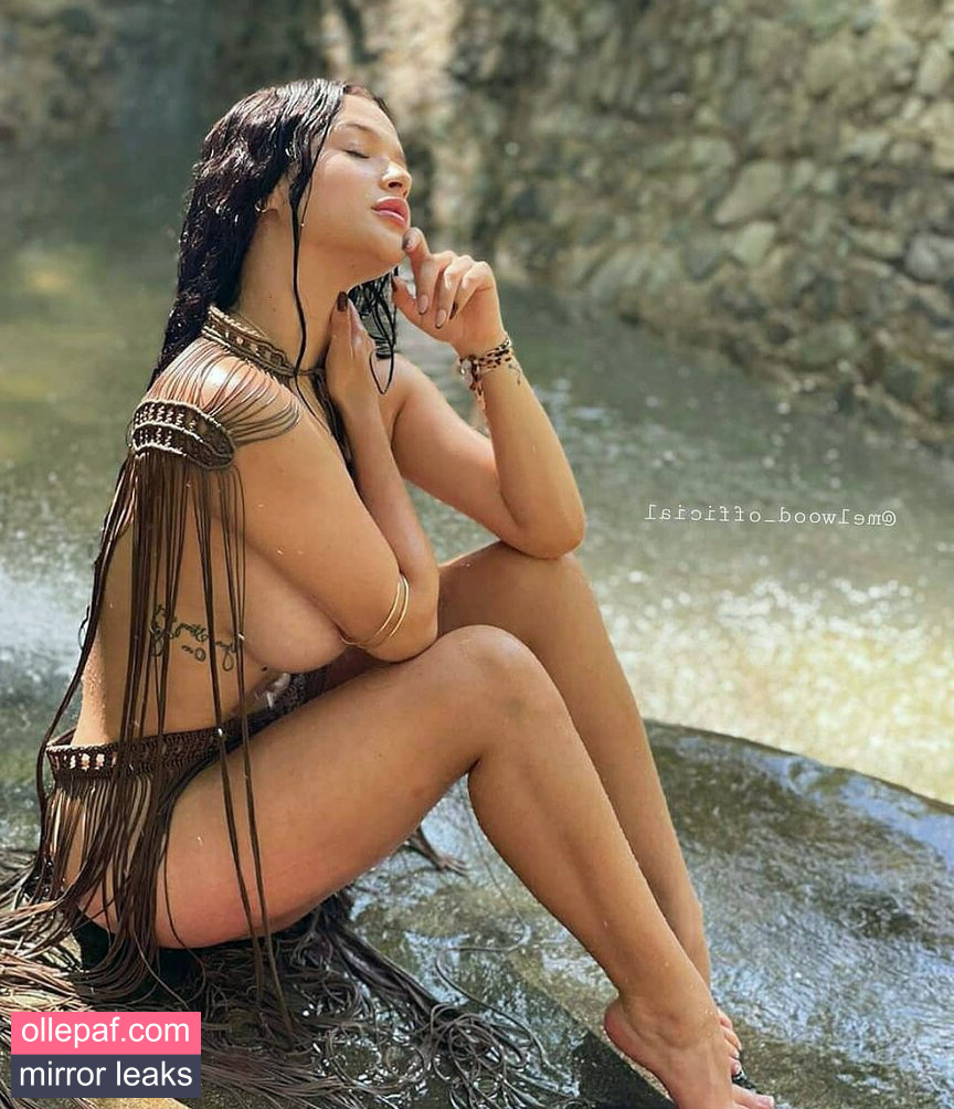 Latest Leaks Melwood Nude #218 - Fapello