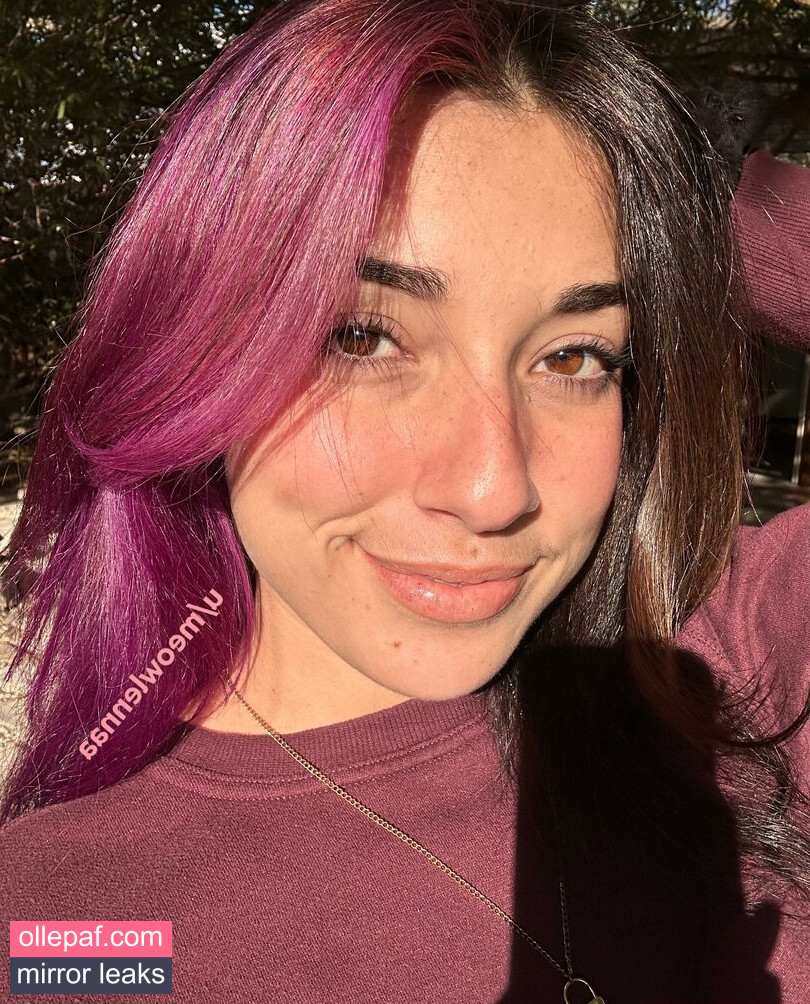 Latest Leaks meowlenna Nude #16 - Fapello