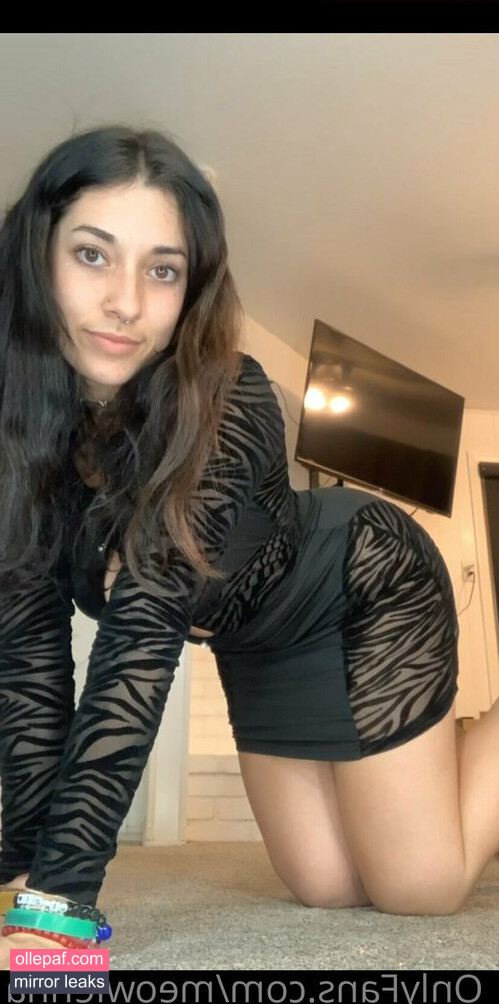 Latest Leaks meowlenna Nude #260 - Fapello