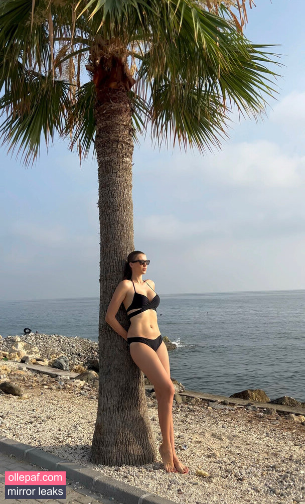 Latest Leaks Natalia Vieru Nude #7 - Fapello