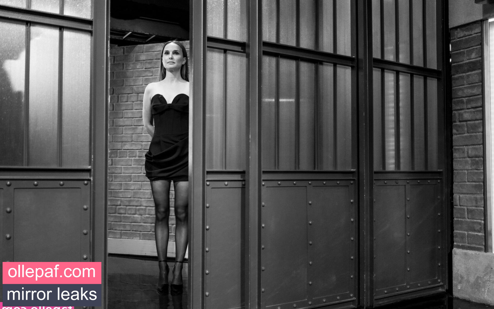 Latest Leaks Natalie Portman Nude #621 - Fapello