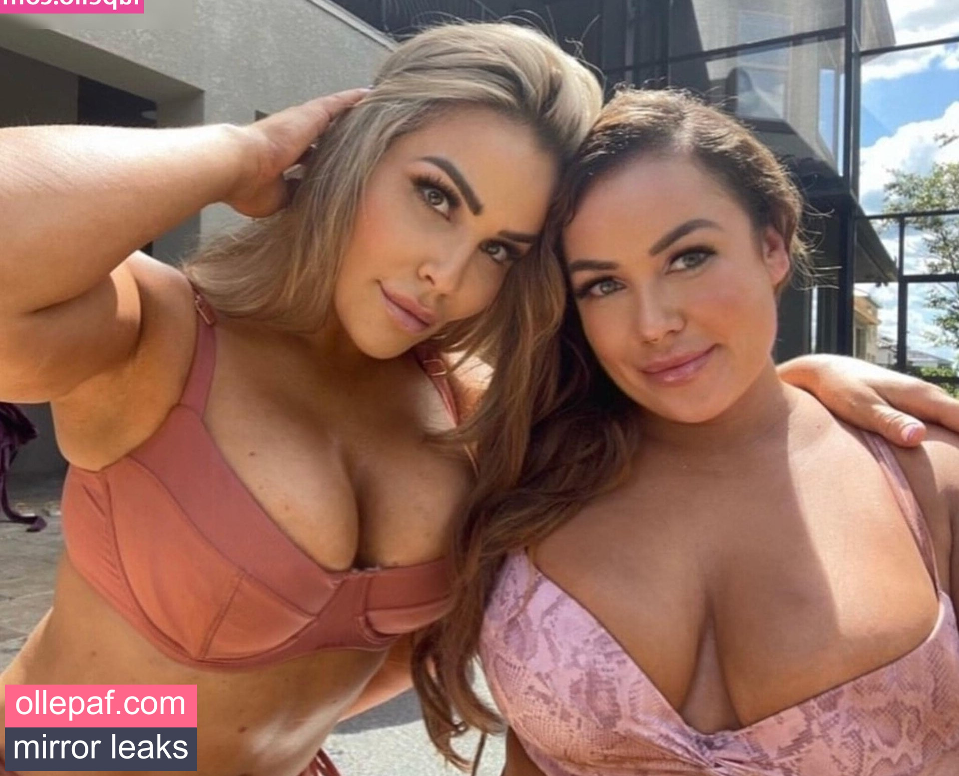 Latest Leaks Natalya Neidhart Nude #297 - Fapello