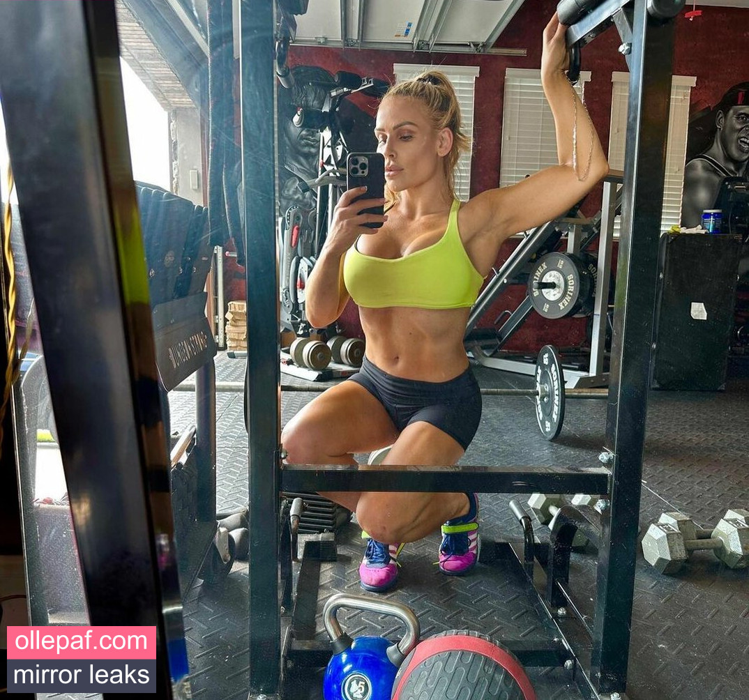 Latest Leaks Natalya Neidhart Nude #756 - Fapello