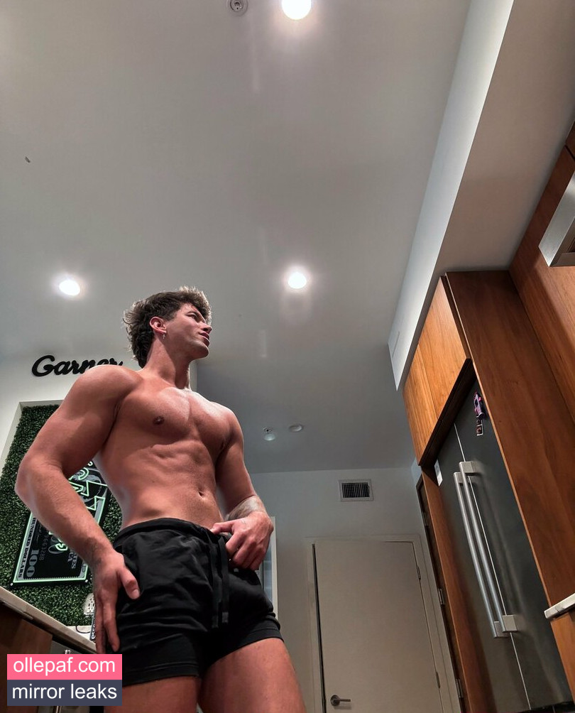 Latest Leaks nategarner Nude #60 - Fapello