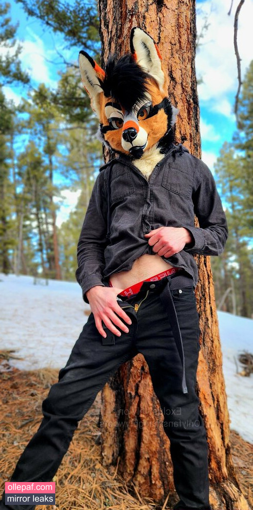 Latest Leaks naughtywoofs Nude #3 - Fapello
