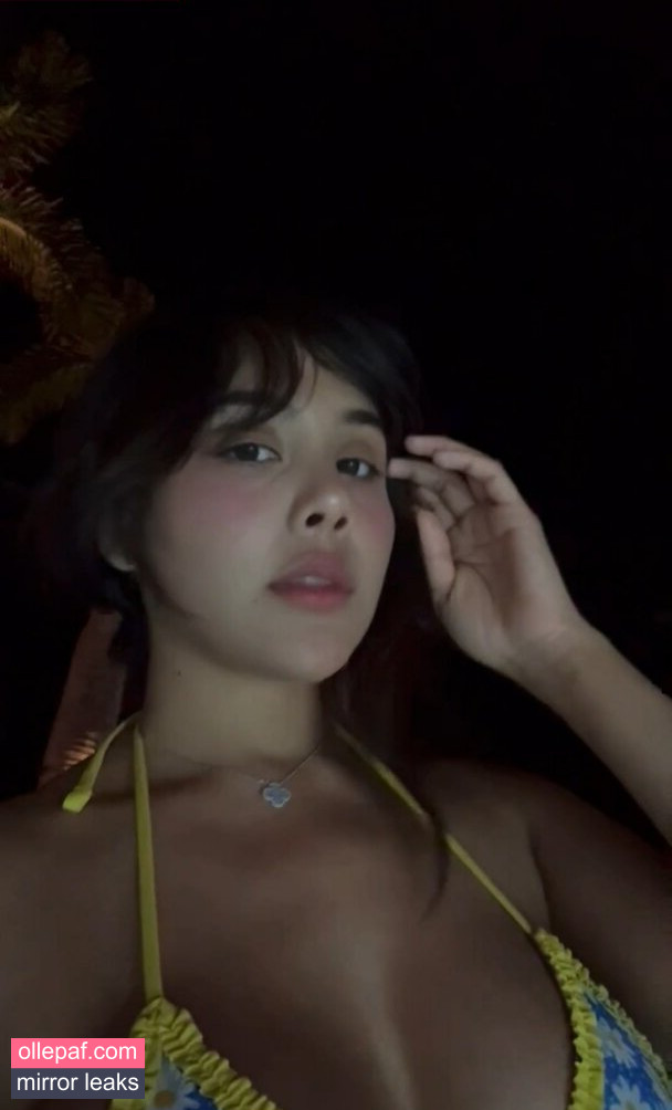 Latest Leaks Neekolul Nude #35 - Fapello