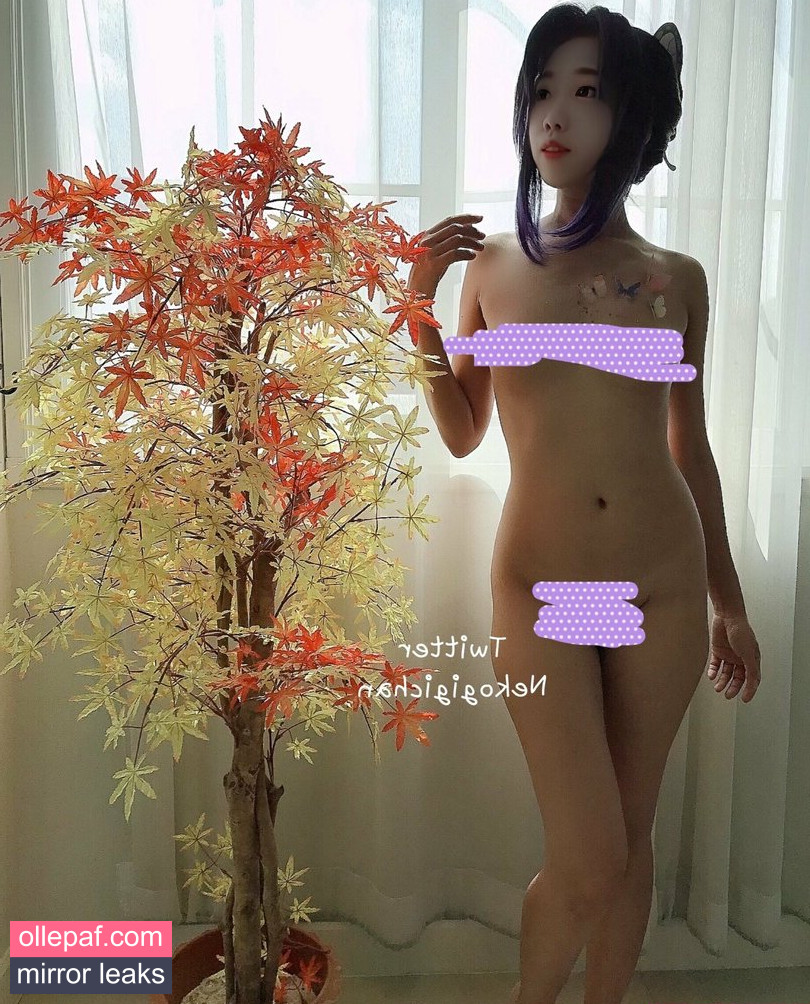 Latest Leaks nekogigichan Nude #269 - Fapello