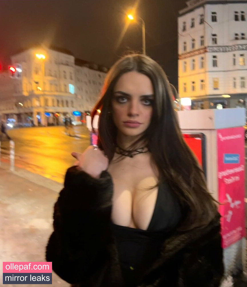 Latest Leaks niiina.es Nude #6 - Fapello