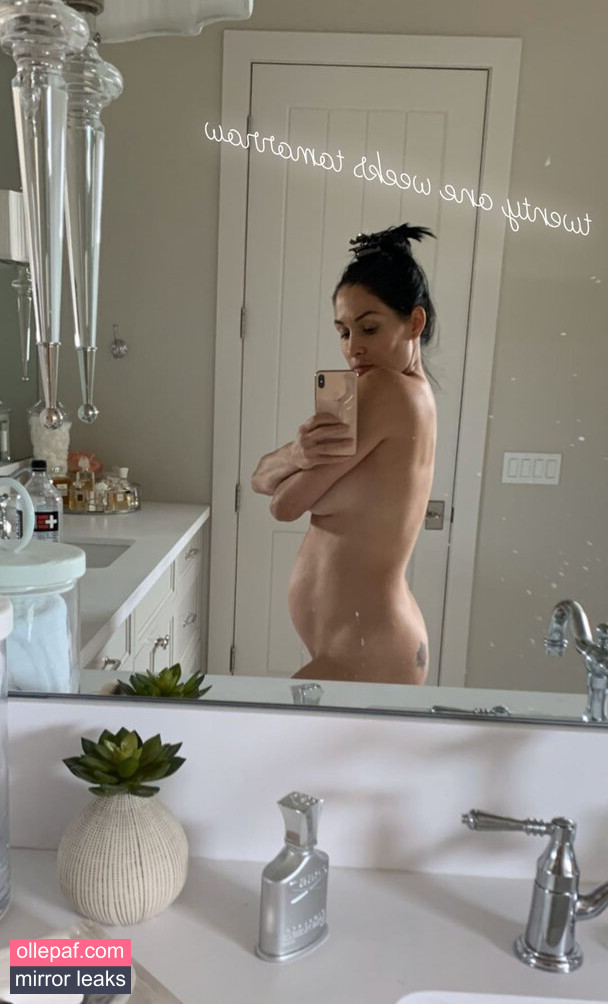 Nikki Bella Nude Leaks OnlyFans #74 - Fapello