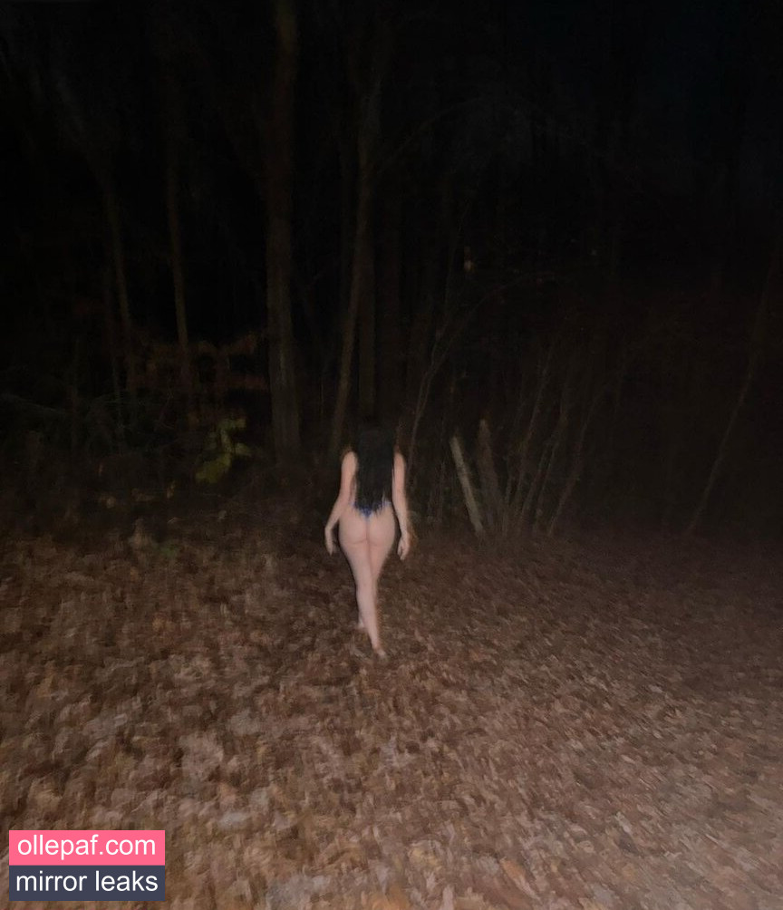 Latest Leaks Noah Cyrus Nude #203 - Fapello