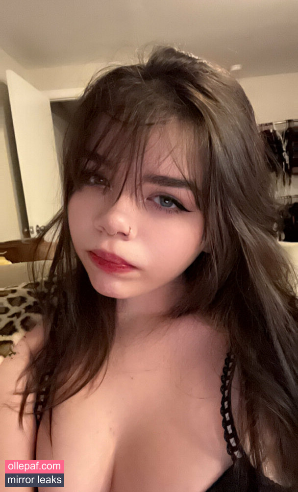 Latest Leaks nsfwnikki Nude #18 - Fapello