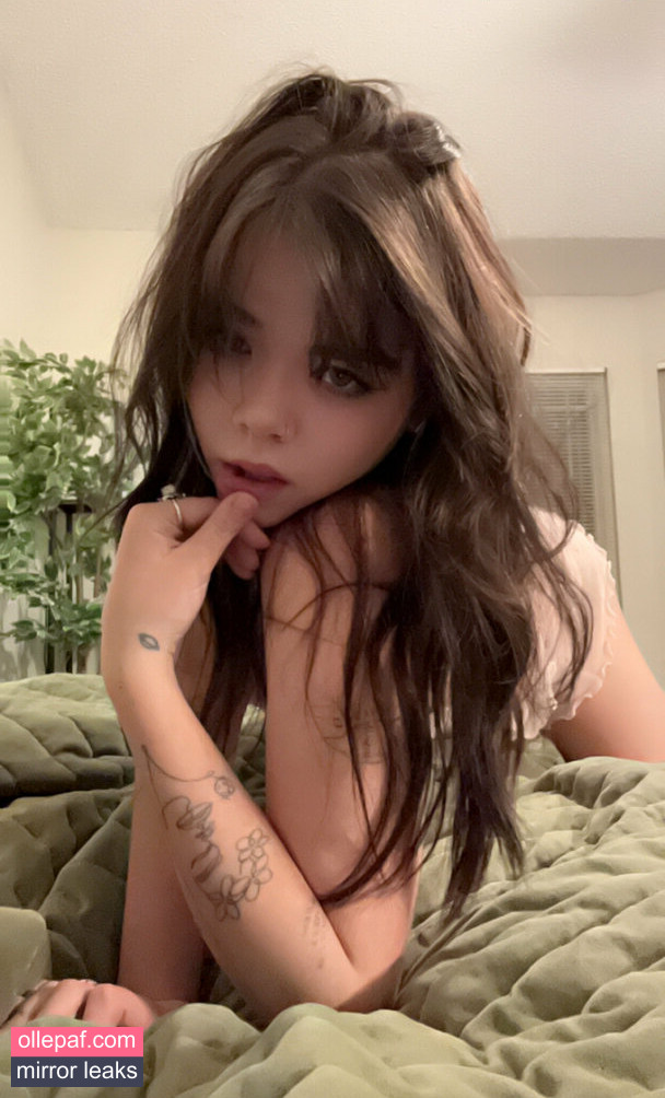 Latest Leaks nsfwnikki Nude #37 - Fapello