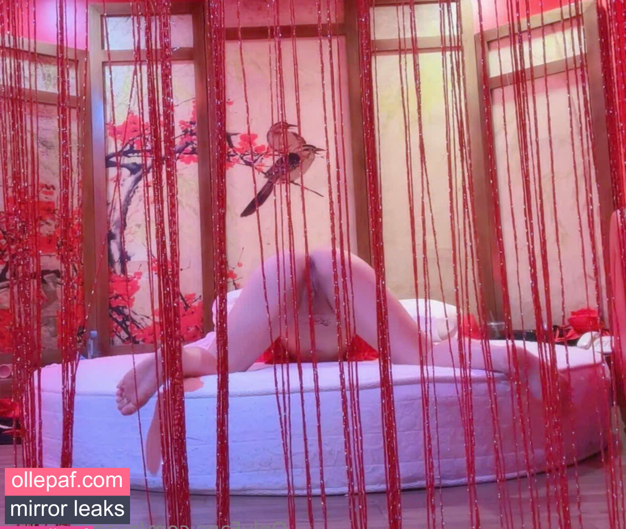 Latest Leaks nyanchan2k3 Nude #7 - Fapello