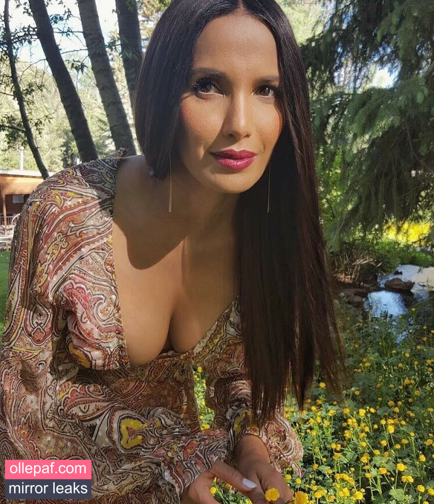 Latest Leaks Padma Lakshmi Nude #198 - Fapello