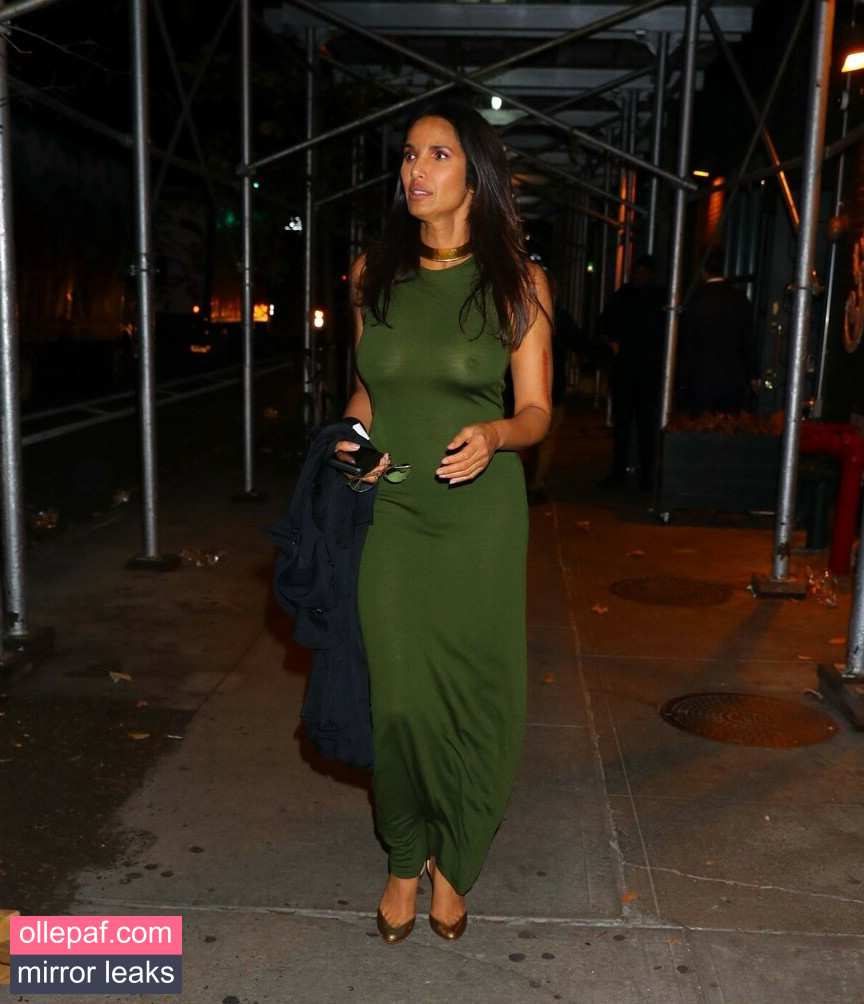 Latest Leaks Padma Lakshmi Nude #212 - Fapello