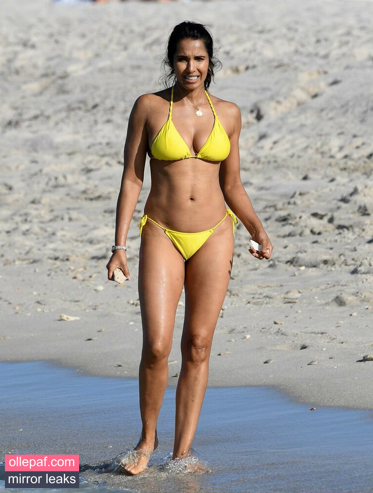 Latest Leaks Padma Lakshmi Nude #248 - Fapello