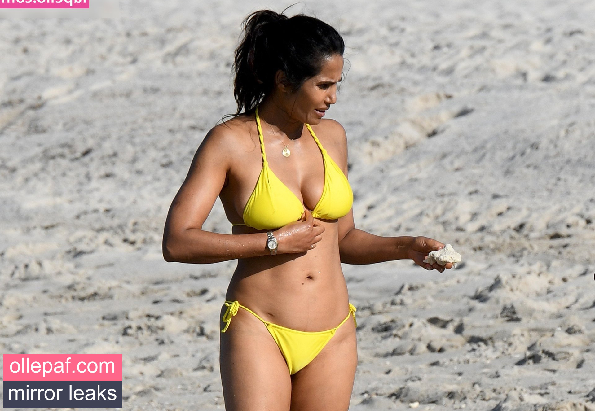 Latest Leaks Padma Lakshmi Nude #30 - Fapello
