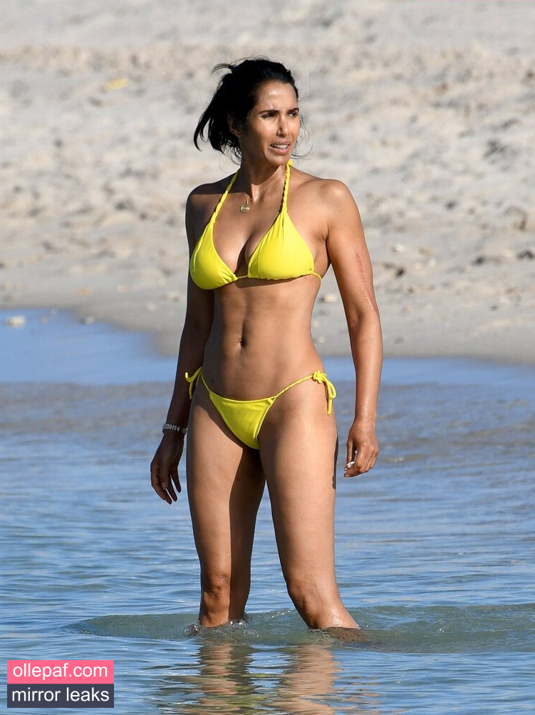 Latest Leaks Padma Lakshmi Nude #31 - Fapello