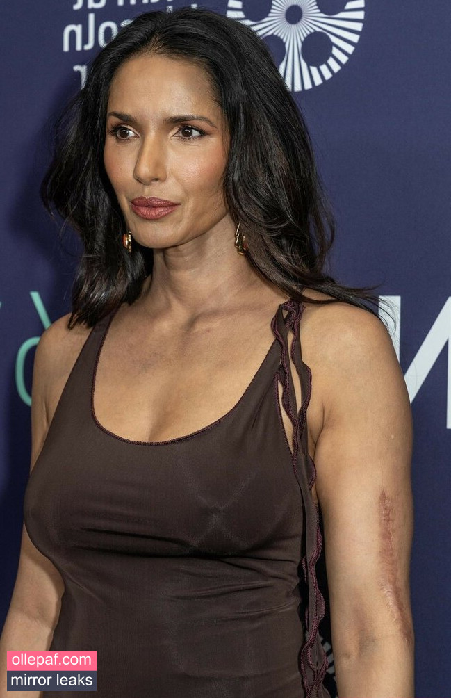 Latest Leaks Padma Lakshmi Nude #303 - Fapello