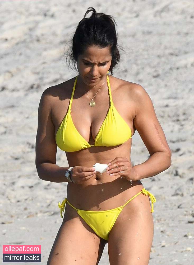 Latest Leaks Padma Lakshmi Nude #32 - Fapello