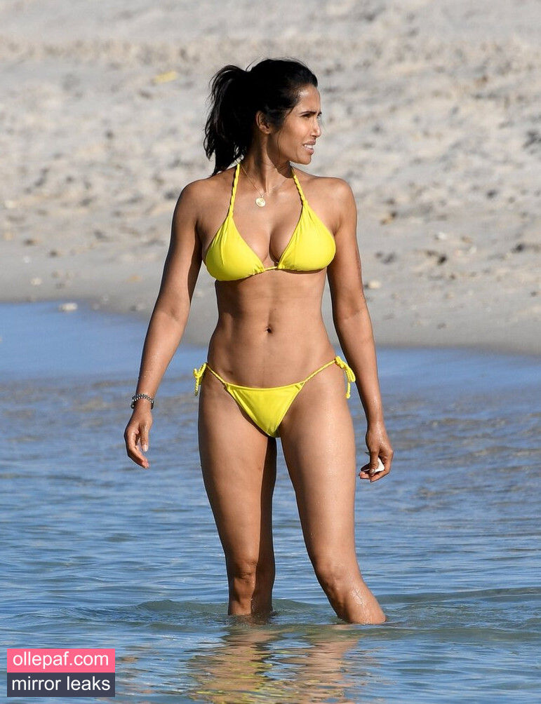 Latest Leaks Padma Lakshmi Nude #36 - Fapello