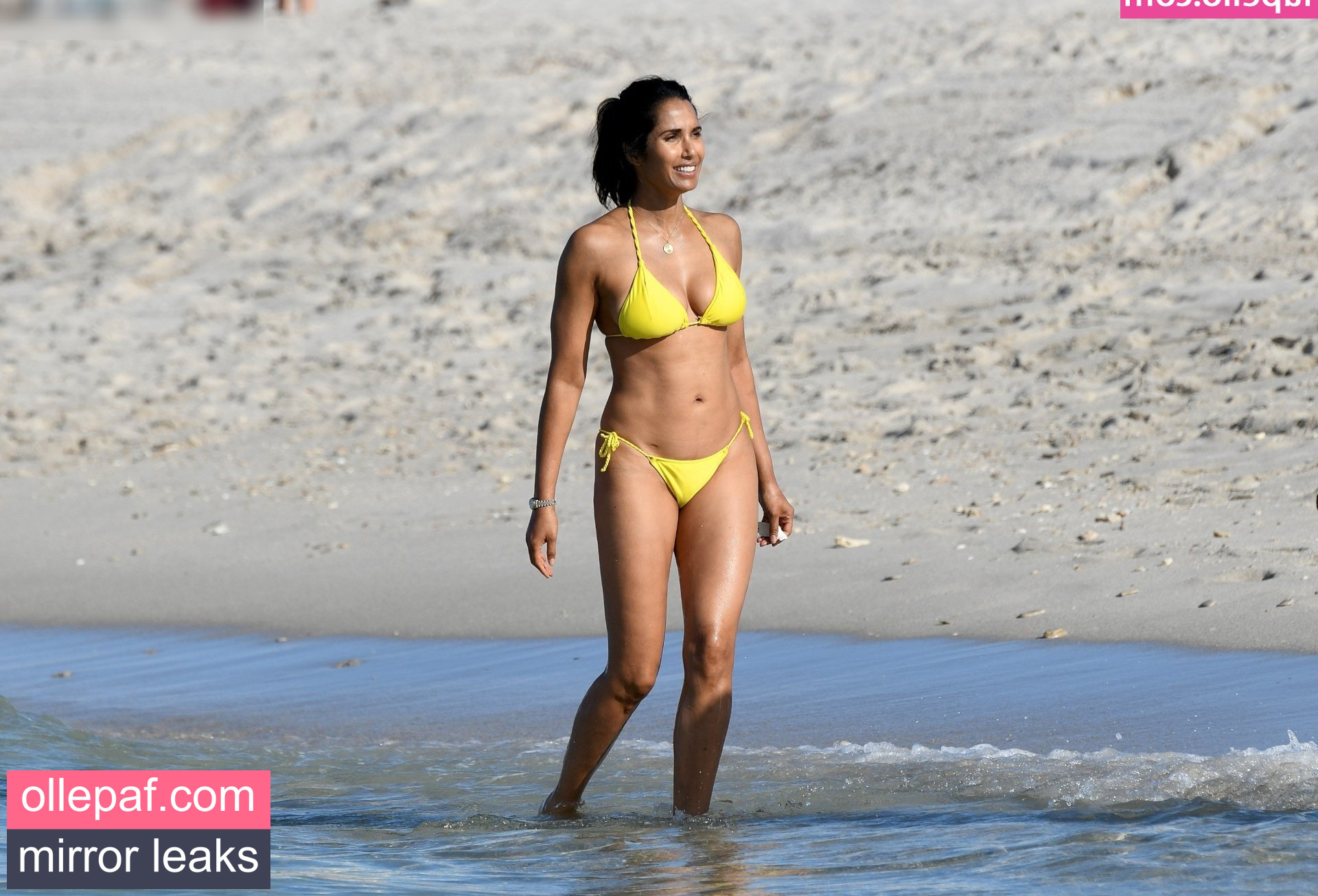 Latest Leaks Padma Lakshmi Nude #39 - Fapello