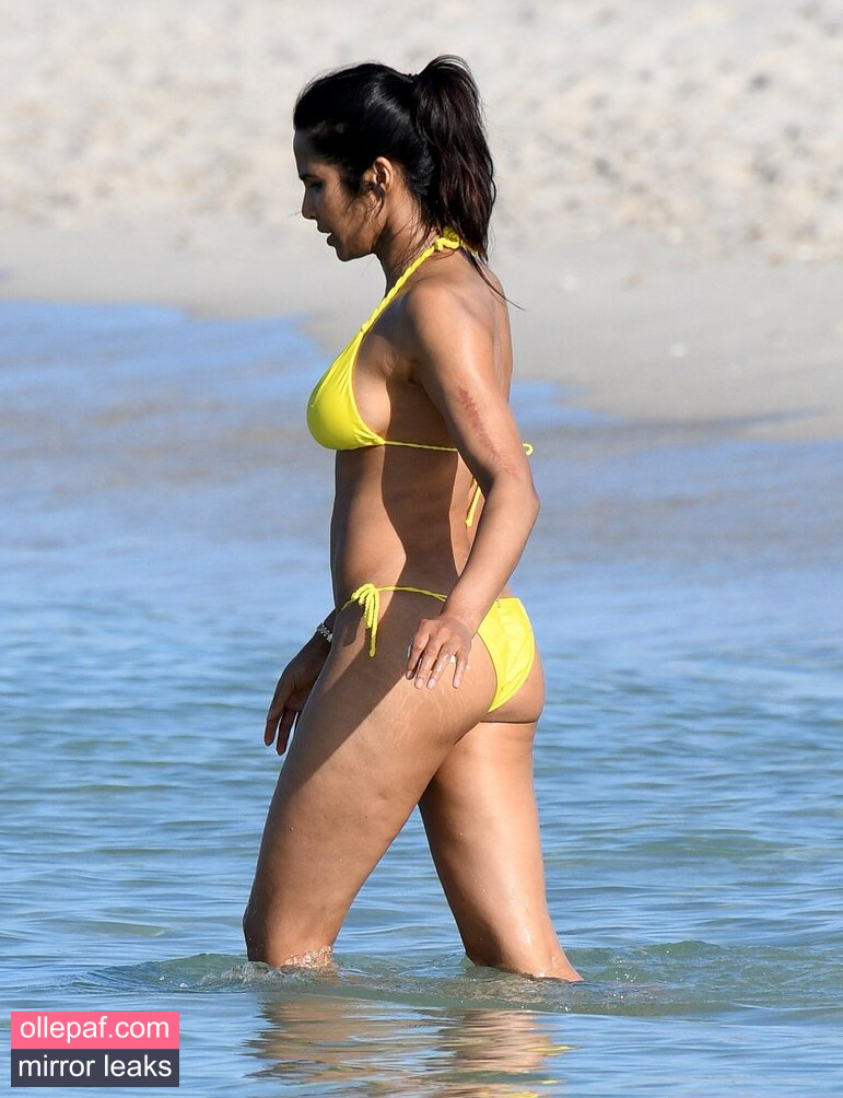Latest Leaks Padma Lakshmi Nude #47 - Fapello