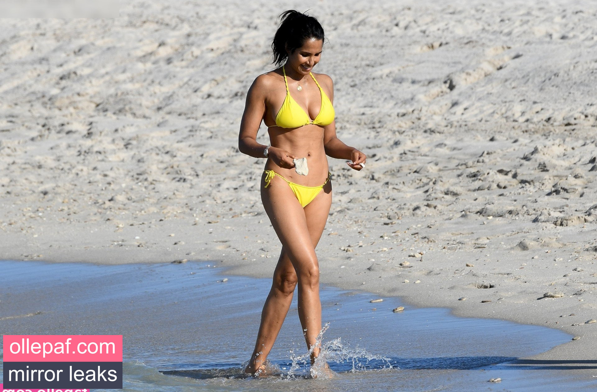 Latest Leaks Padma Lakshmi Nude #48 - Fapello