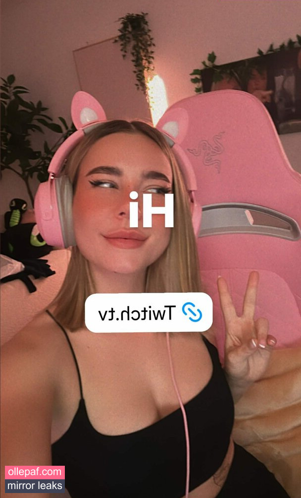 Latest Leaks Paladinamber Nude #136 - Fapello