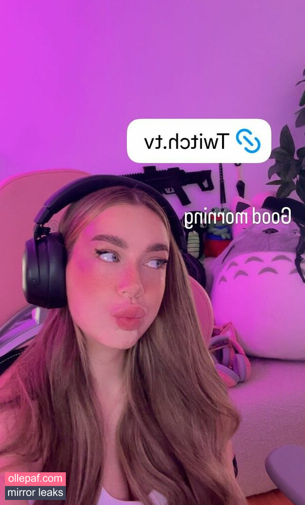 Latest Leaks Paladinamber Nude #33 - Fapello