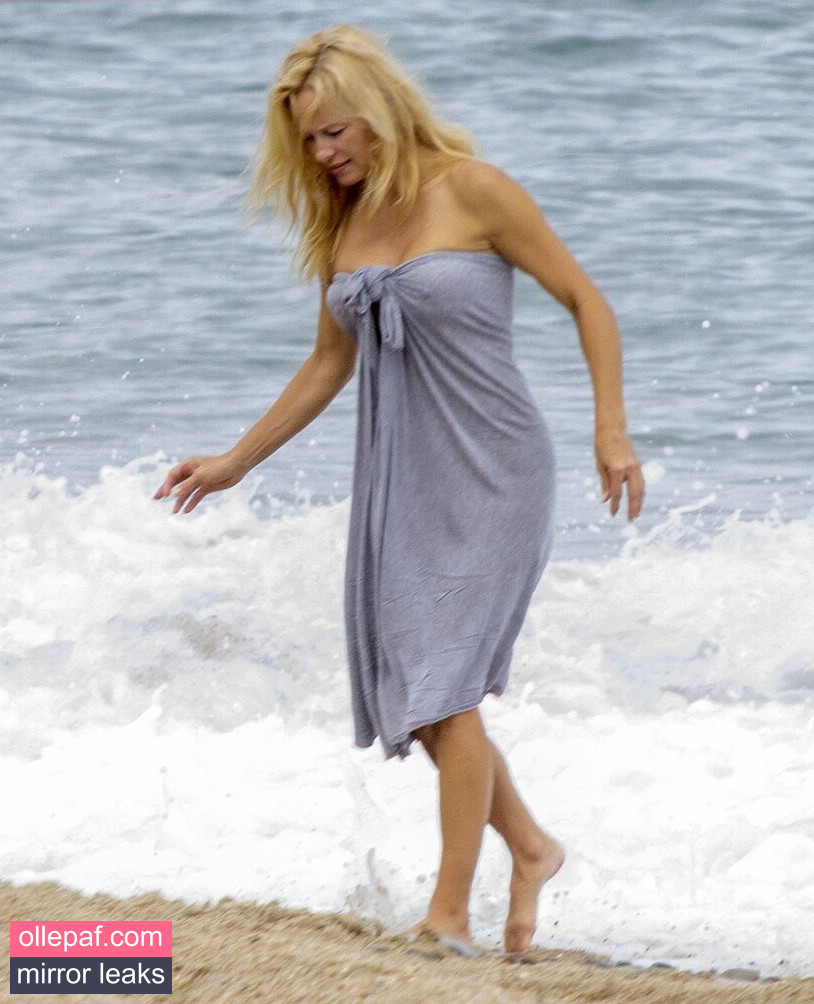 Latest Leaks Pamela Anderson Nude #169 - Fapello