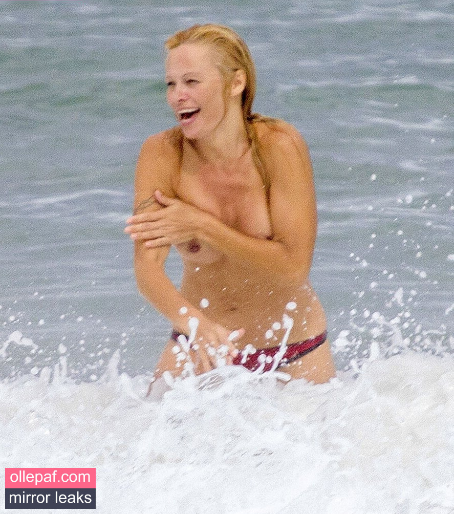 Latest Leaks Pamela Anderson Nude #174 - Fapello