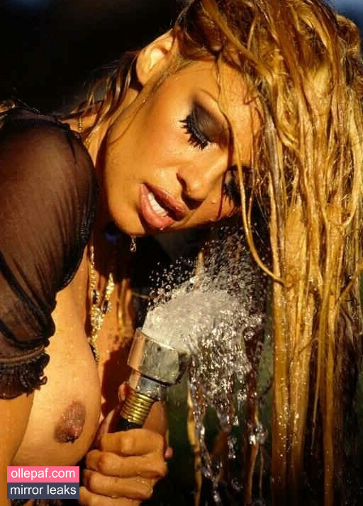 Latest Leaks Pamela Anderson Nude #247 - Fapello