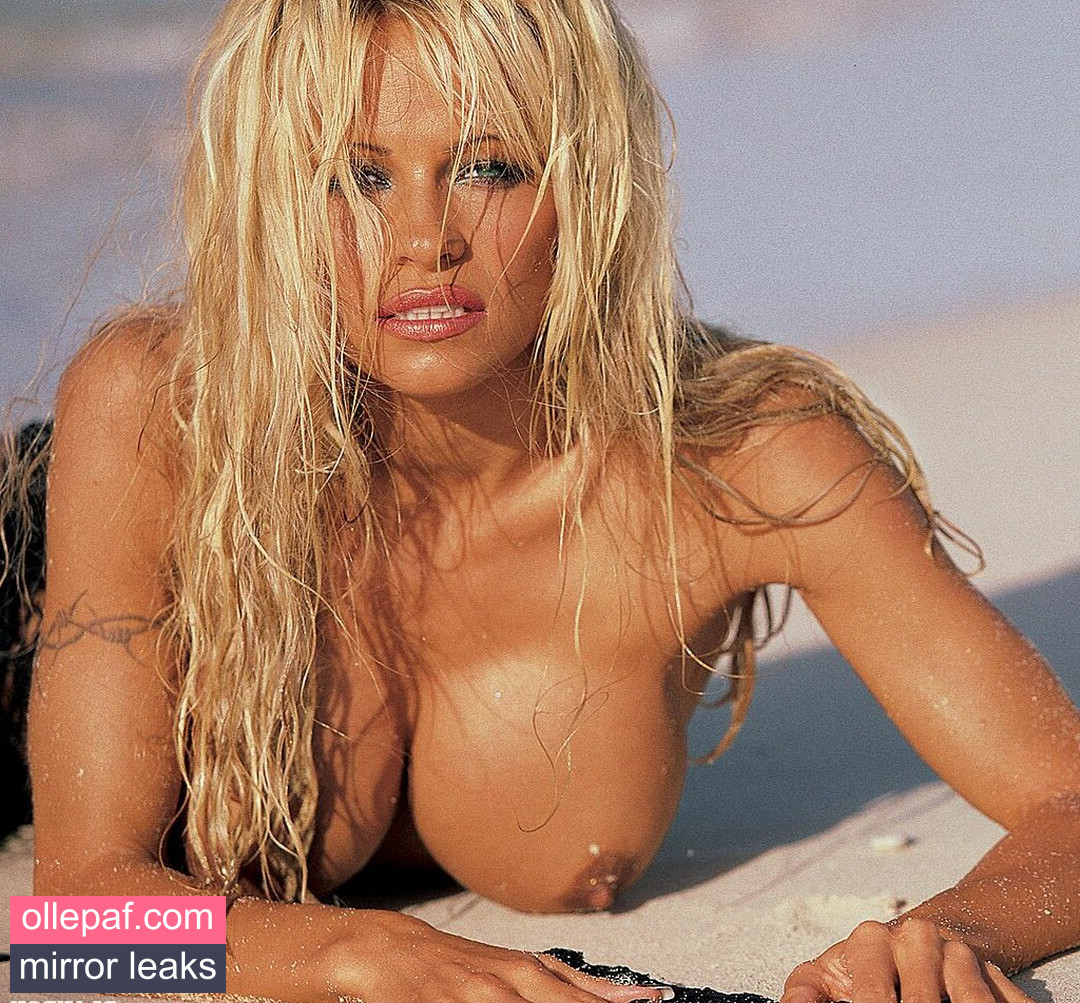 Latest Leaks Pamela Anderson Nude #534 - Fapello