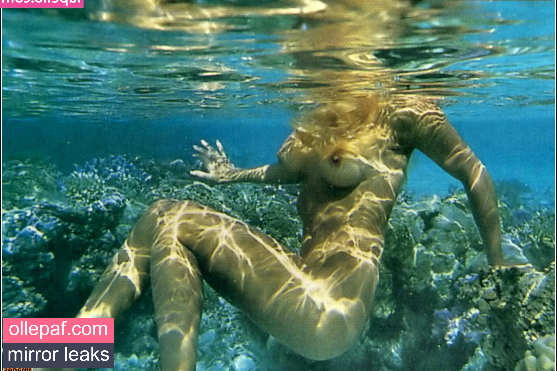 Latest Leaks Pamela Anderson Nude #598 - Fapello