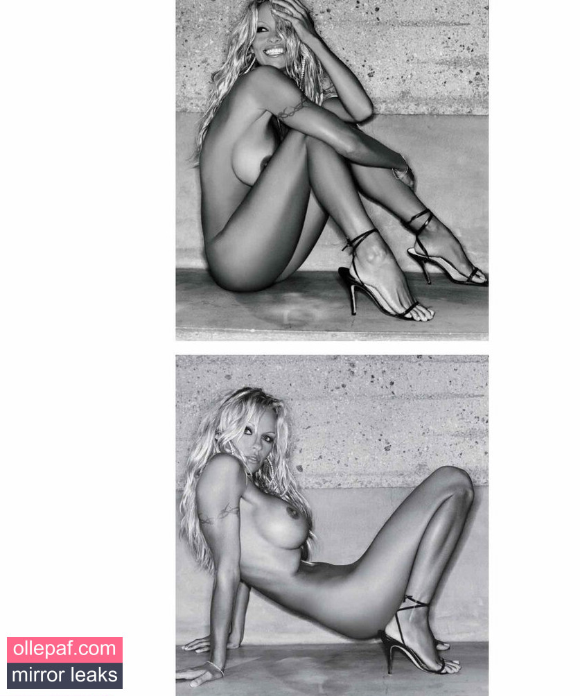 Latest Leaks Pamela Anderson Nude #605 - Fapello